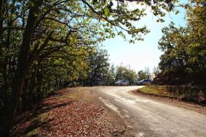 una carretera con árboles y coches aparcados en ella en Gîte Dayet Chiker en Taza