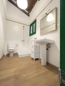 La salle de bains est pourvue d'un lavabo et de toilettes. dans l'établissement MASIA BLANCA, à Deltebre