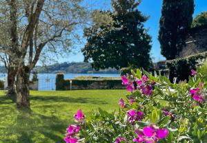 薩羅的住宿－Luxury Apartment right on the water Maddalena，享有公园的粉红色花卉美景
