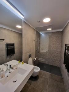 a bathroom with a sink and a toilet and a shower at One Inclusive Best Region Apartment in Bucharest