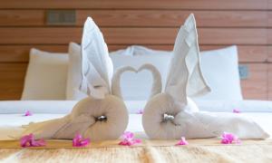 Fotografie z fotogalerie ubytování Nala Veli Beach & Spa v destinaci Ukulhas