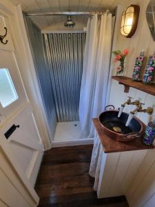 科姆堡The Delkin Shepherds Huts Castle Combe的带水槽和淋浴的浴室