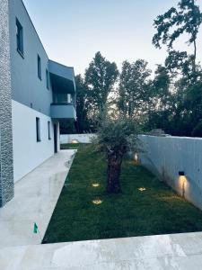 un árbol en un patio al lado de un edificio en Villa Istra Relax Diamond en Rebići
