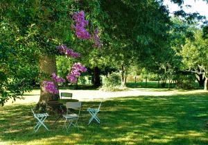 a table and chairs under a tree with purple flowers at Chambres d'hôtes Villa Lortin in Pouillon