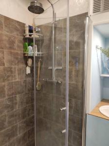 W łazience znajduje się prysznic ze szklanymi drzwiami. w obiekcie Studio St Jacques sur le chemin de pèlerinage w mieście Eymoutiers