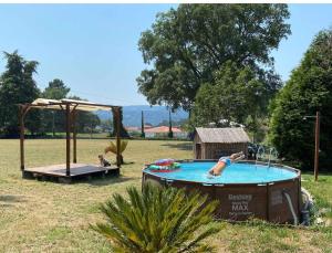 eine Person, die in einem Pool auf einem Feld schwimmt in der Unterkunft Quinta Vale de Frades in Torrão
