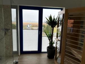 a bathroom with a glass door with a potted plant at Bodden-Adler in Fuhlendorf