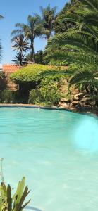 een groot blauw zwembad met palmbomen op de achtergrond bij Bozi Abode in Kempton Park