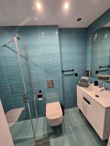 a bathroom with a shower and a toilet and a sink at Apartamenty hotelowe w Jarosławcu in Jarosławiec