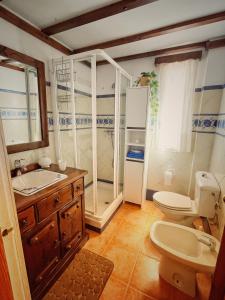 a bathroom with a shower and a toilet and a sink at Villa EMMA in Málaga