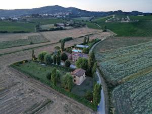 eine Luftansicht eines Anwesens auf einem Weinberg in der Unterkunft Casa Vacanze Vecchio Granaio in Magione