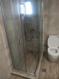 a bathroom with a shower and a toilet at Sea Front Sophia Porto Rafti in Porto Rafti