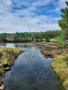 a river in a field with trees in the background at Casa Rojo in Camariñas