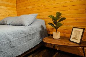 1 dormitorio con cama y mesa con maceta en Casa Nogal, Santa María de Dota, 