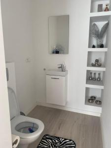 biała łazienka z toaletą i umywalką w obiekcie Świętokrzyski klimacik w mieście Bodzentyn
