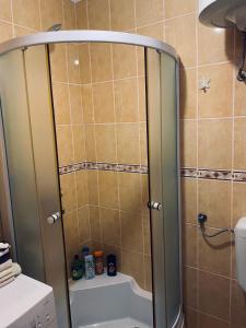 a shower with a glass door in a bathroom at Apartman Željo 1 in Livno