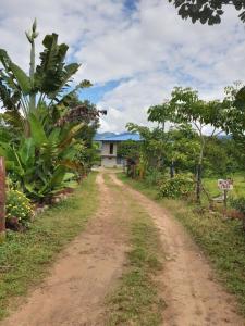a dirt road in front of a house with trees at Centro agroecoturistico las heliconias in Monterrey