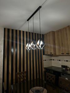 Kuchyň nebo kuchyňský kout v ubytování Stan u centru, Loznica