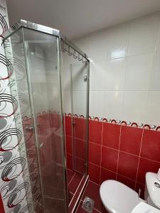 a shower stall in a bathroom with a toilet at Stan u centru, Loznica in Loznica