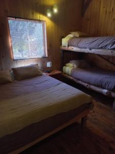 two bunk beds in a room with a window at EKILIBRE Surf Eco Hostal in Curanipe