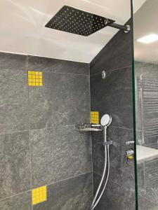 a shower with a glass door in a bathroom at Horská chata Smědava in Weissbach