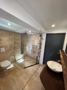 een badkamer met een douche, een toilet en een wastafel bij Villa Gobernador Bonaire in Kralendijk