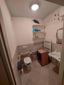 La petite salle de bains est pourvue de toilettes et d'un lavabo. dans l'établissement casa di marco, à Ravenne