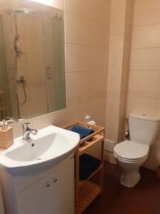 a bathroom with a sink and a toilet and a mirror at Słoneczny apartament z małym ogródkiem in Wejherowo