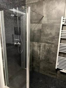 a shower with a glass door in a bathroom at Nowy apartament dla 6 osob in Krynica Zdrój