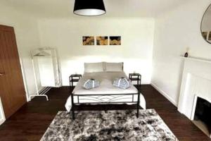 a bedroom with a bed with a rug and a fireplace at Luxury, Spacious 1 Bedroom Flat in South Norwood
