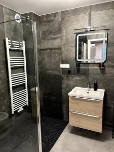 a bathroom with a sink and a mirror at Nowy apartament dla 6 osob in Krynica Zdrój