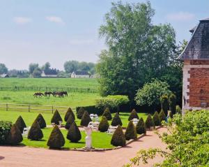 a garden with bushes and horses in a field at Domaine de L'orangerie du château de Motteville chambres d'hotes in Motteville
