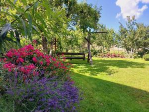 Taman di luar Agroturystyka Jelenia