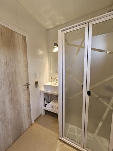 a bathroom with a glass shower and a sink at Magnifique studio éco relaxant avec piscine in Mendoza