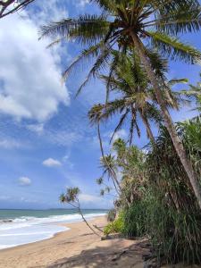 a beach with two palm trees and the ocean at Turtle Paradise in Tangalle