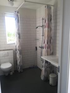 a bathroom with a shower curtain and a toilet at Kría Cottages in Skeljabrekka