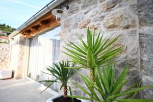 Gallery image of Villa Teza Hvar in Hvar