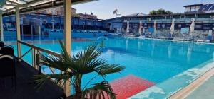 a large swimming pool with a palm tree in front of it at PRESTIGE in Paraćin