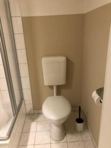 a bathroom with a toilet and a shower at GottwaldHaus-Freiberg-Apartment / B in Freiberg +6 photos