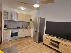 a kitchen with a stainless steel refrigerator and a television at Apartamento El olivo in Empuriabrava