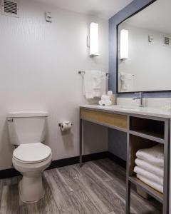 a bathroom with a toilet and a sink and a mirror at Hilton Garden Inn Atlanta North/Johns Creek in Johns Creek