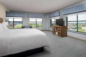 a bedroom with a bed and a tv and windows at Hampton Inn Baltimore-Downtown-Convention Center in Baltimore