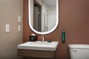 Doubletree by Hilton Chattanooga Hamilton Place的一间浴室