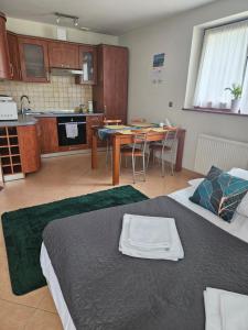 Kuchyňa alebo kuchynka v ubytovaní Apartament Granit