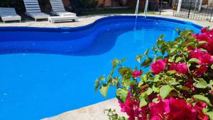 a blue swimming pool with pink flowers next to it at Hotel Namaste in Mendoza