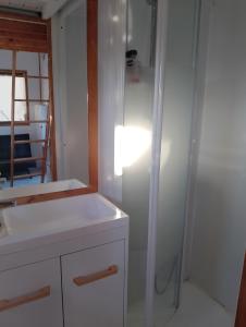 uma casa de banho com um chuveiro, um lavatório e um espelho. em Tiny House Cluj with Jacuzzi em Sînnicoară
