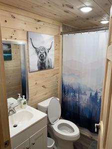 a bathroom with a toilet and a picture of a cow at Creekside 3 bedroom 2 bath cabin on private creek in Banner Elk