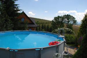 a large hot tub in front of a house at Dom goralski Kamilux in Nowy Targ