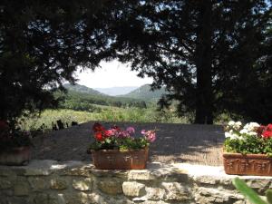 フィエーゾレにあるFattoria il Leccio Fienile on Florence Hillsの石壁の鉢植え花2本