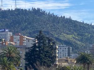 vistas a una ciudad con una montaña en el fondo en Departamento Don Miguel Claro, en Santiago